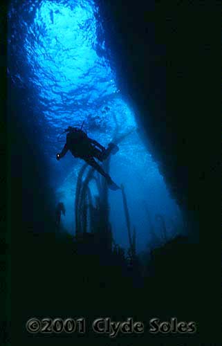 2-Diver